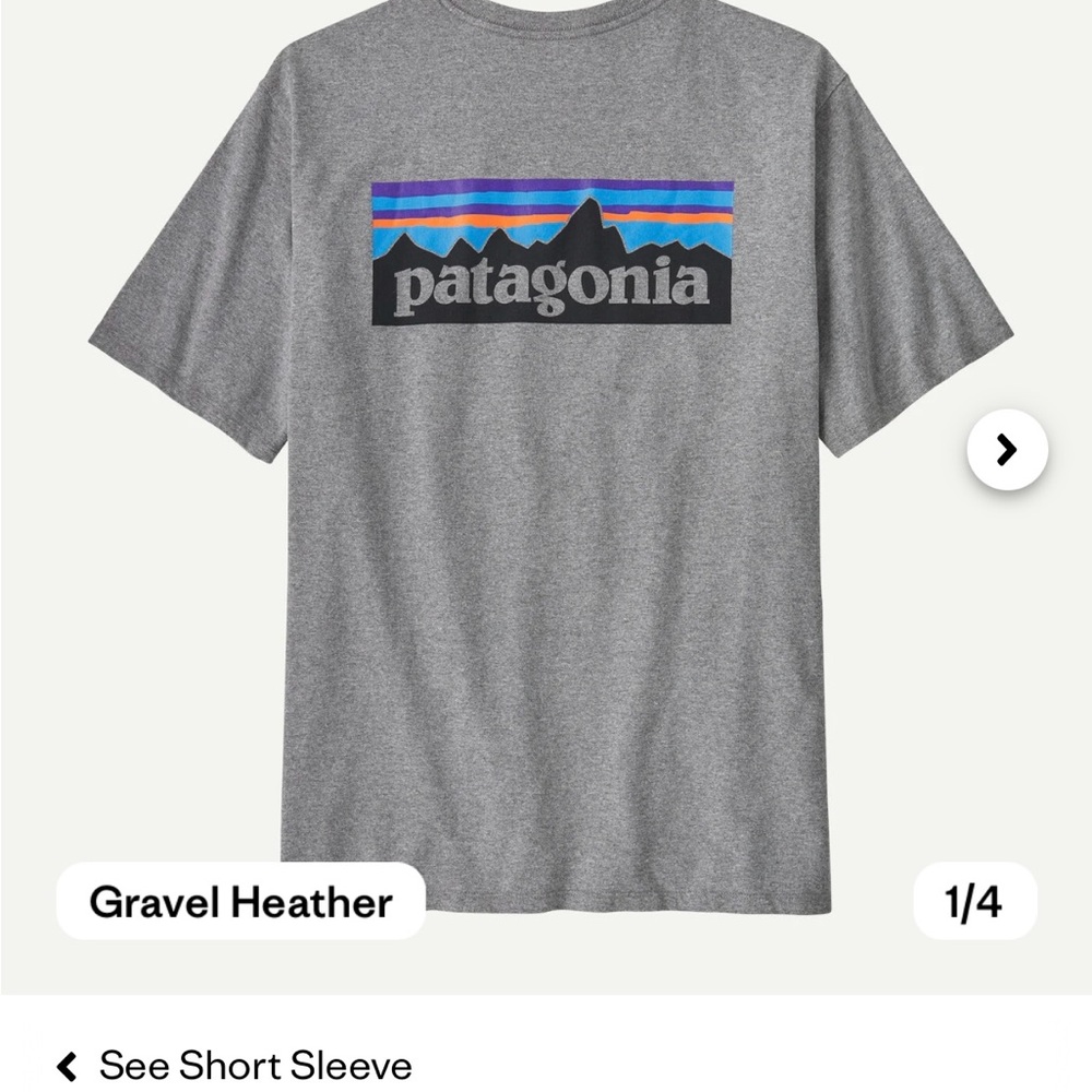 Patagonia Responsibili-Tee Gray Gravel Heather T Shirt Graphic Mens XS NEW